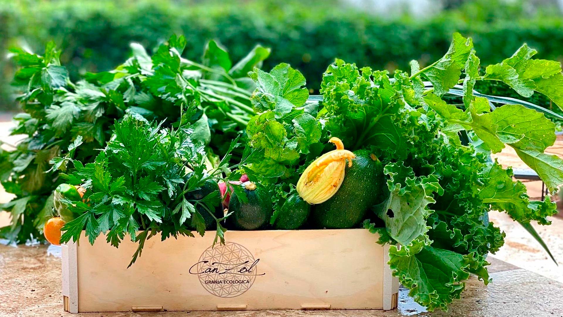 CanZol-Finca-Ecologica-Almazen