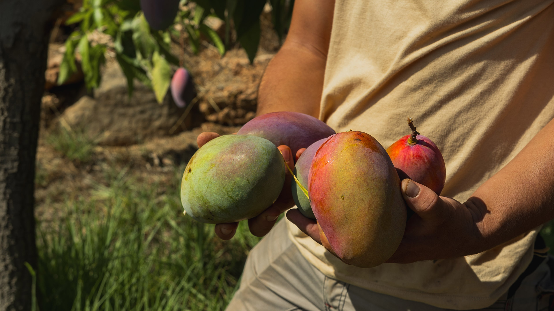 CanZol-Finca-Ecologica-ibiza-LaFinca-visita