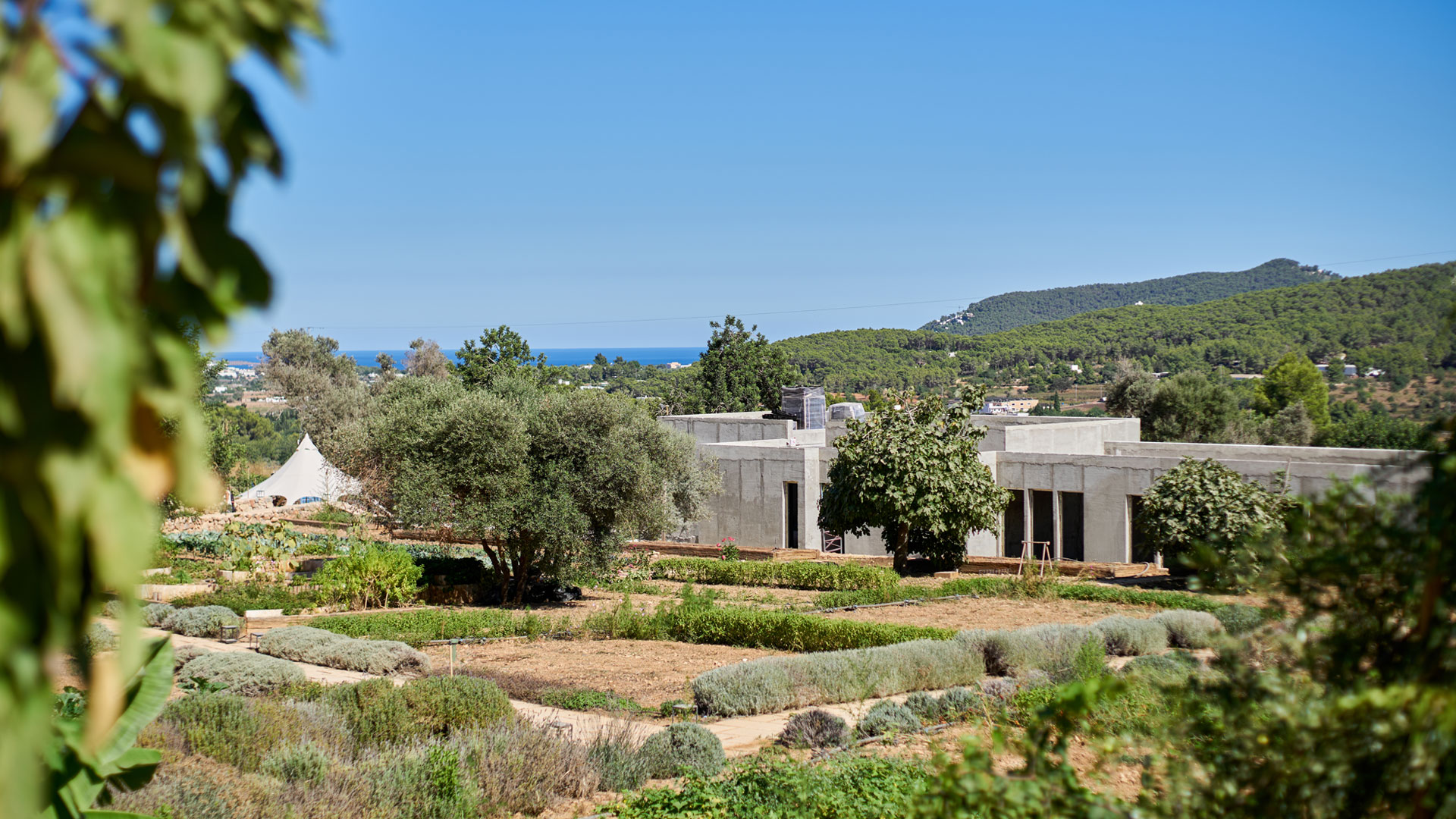 finca ecológica en Ibiza Can Zol
