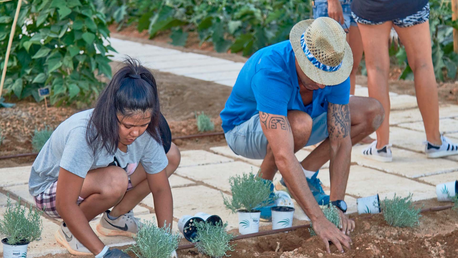 CanZol-Finca-Ecologica-ibiza-lafinca-2