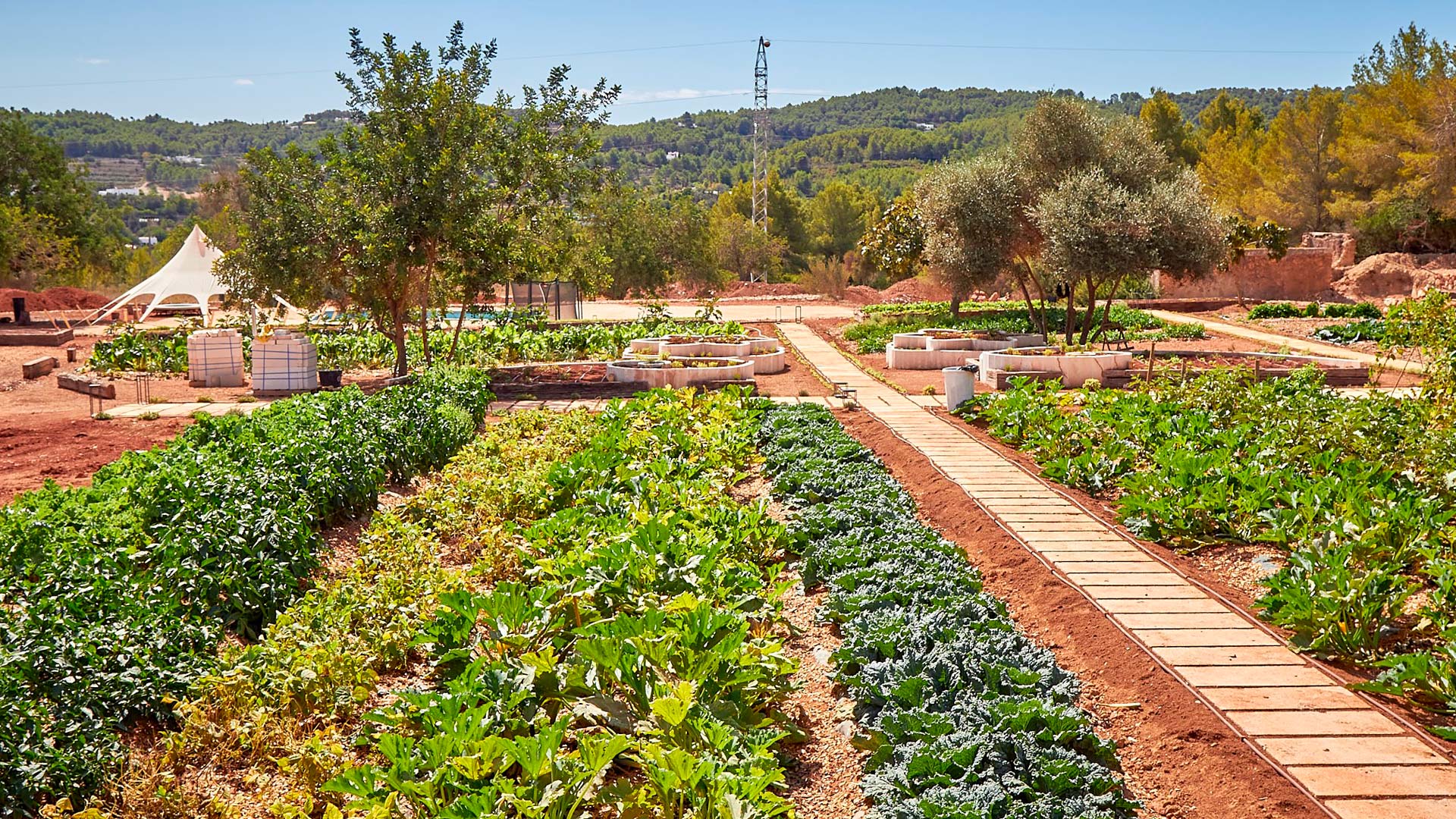 CanZol-Finca-Ecologica-ibiza-lafinca-3