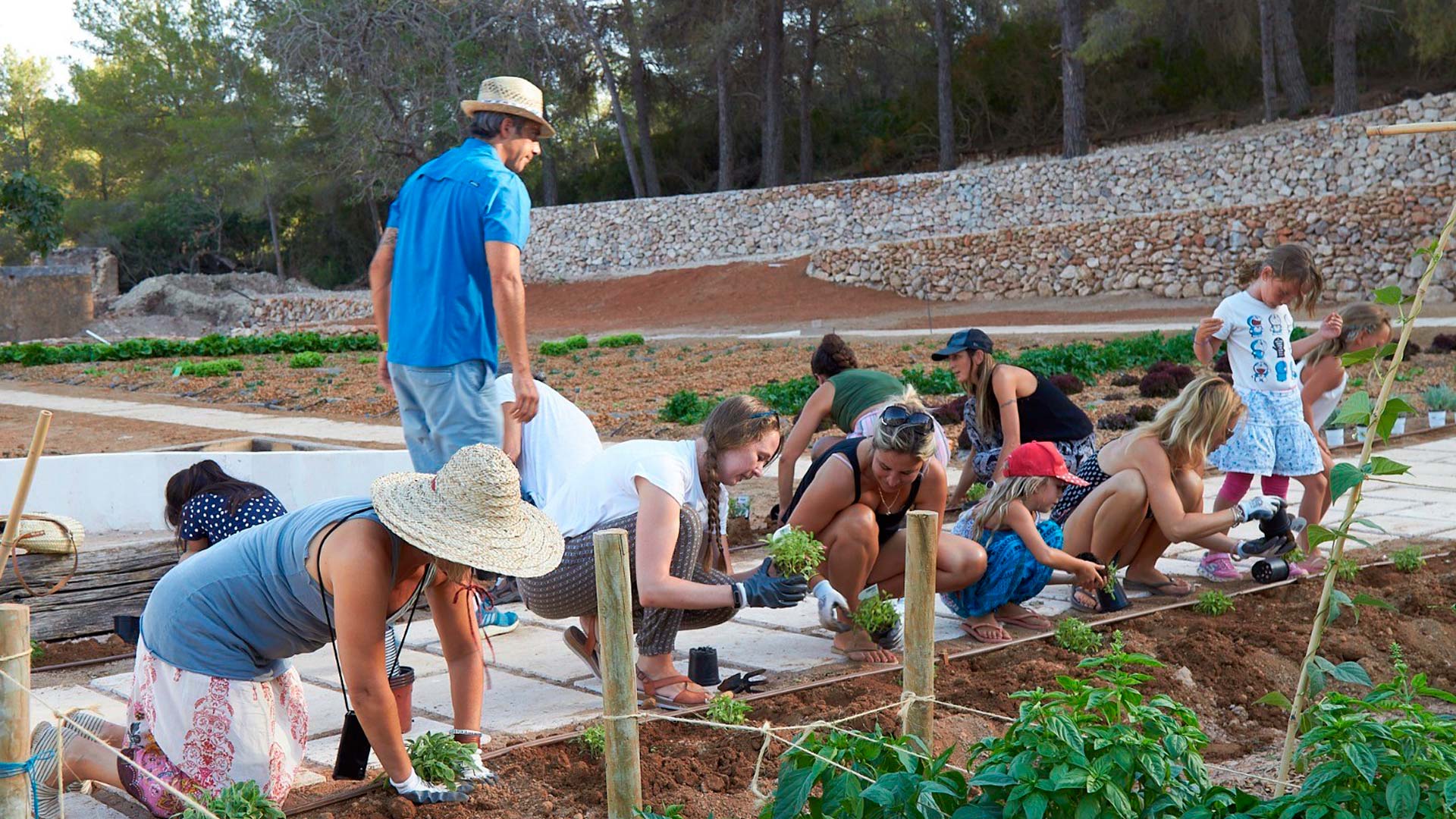 CanZol-Finca-Ecologica-ibiza-lafinca-4