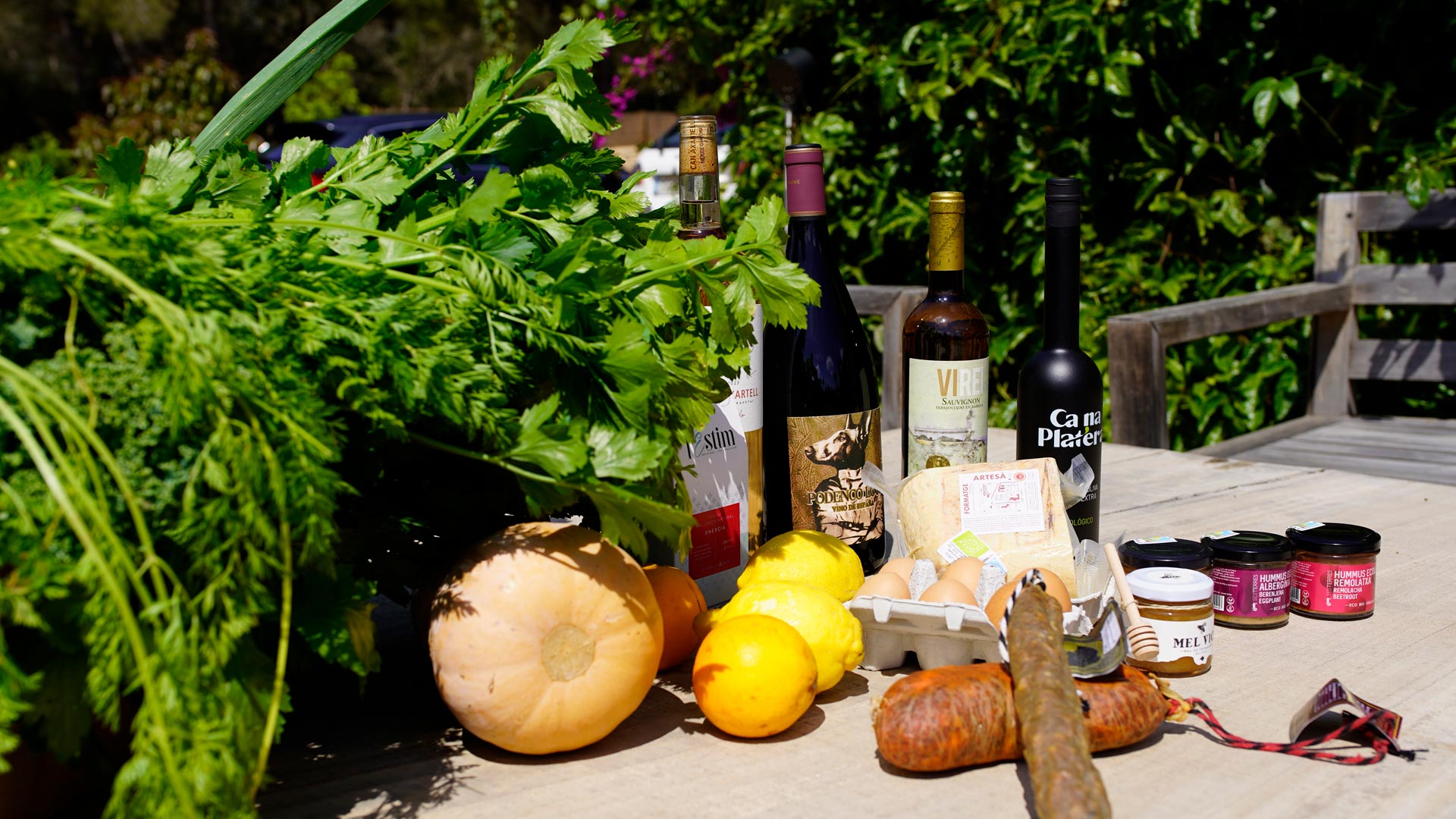 CanZol-Finca-Ecologica-ibiza-cata