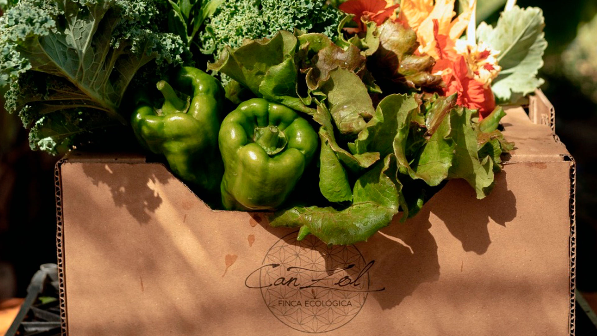 CanZol-Finca-Ecologica-ibiza-club