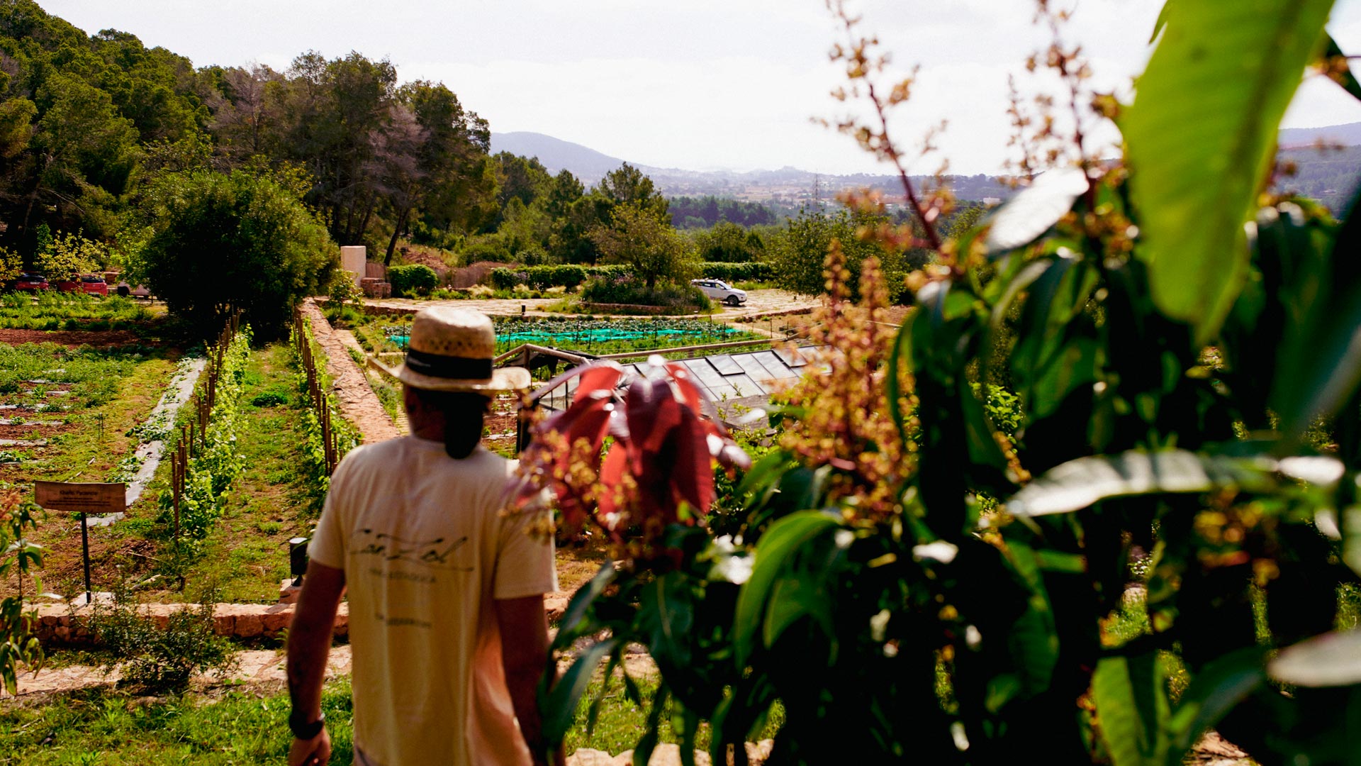 CanZol-Finca-Ecologica-ibiza-ruta